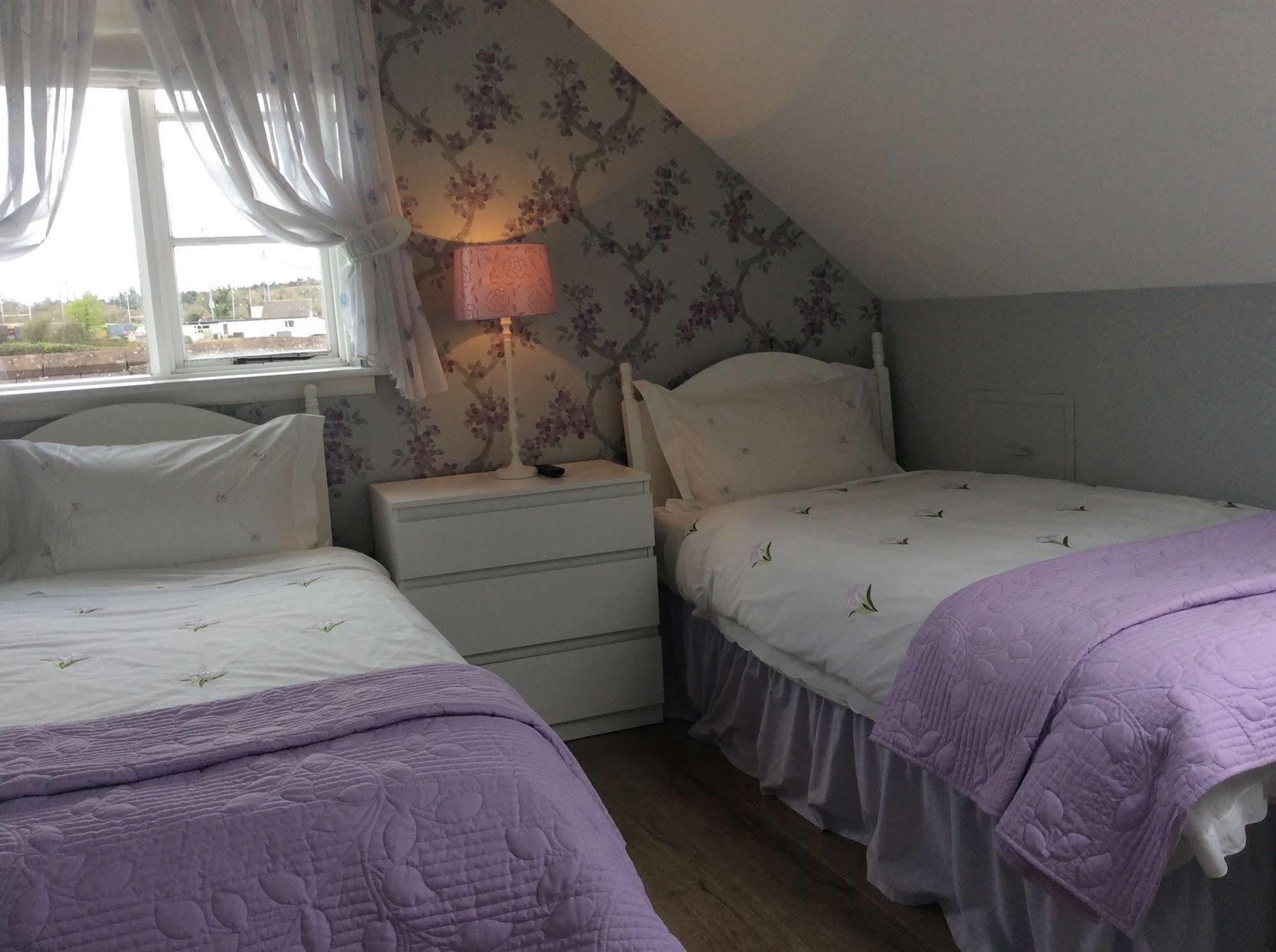 ウィックロー Glen Na Smole Bed & Breakfast エクステリア 写真